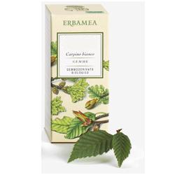 AESCULUS HIPPOCASTANUM GEMME GEMMODERIVATO 50 ML - pharmaluna