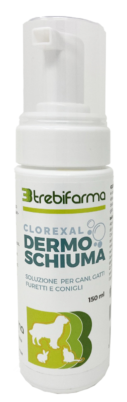 CLOREXAL DERMOSCHIUMA 150 ML - pharmaluna