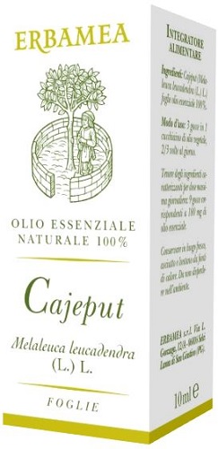 CAJEPUT 10 ML - pharmaluna