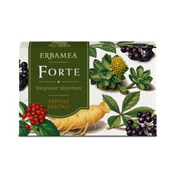 FORTE 24 CAPSULE - pharmaluna