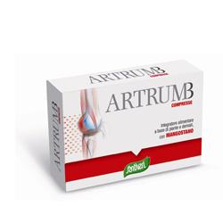 ARTRUM B CON MANGOSTANO 48 COMPRESSE 31 G - pharmaluna