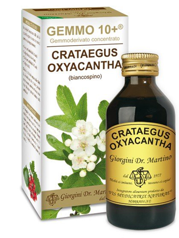 GEMMO 10+ BIANCOSPINO LIQUIDO ANALCOLICO 100 ML - pharmaluna