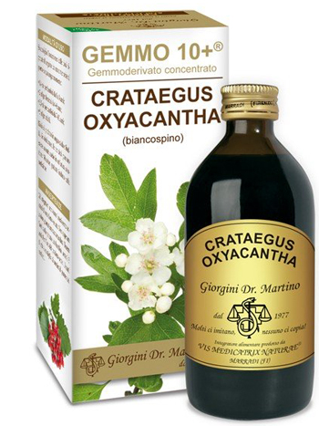 GEMMO 10+ BIANCOSPINO LIQUIDO ANALCOLICO 200 ML - pharmaluna