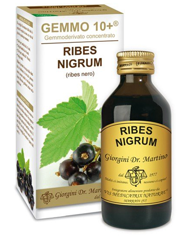 GEMMO 10+ RIBES NERO 100 ML LIQUIDO ANALCOLICO - pharmaluna