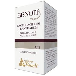 BENOIT LACTOBACILLUS PLANTHARUM 30 CAPSULE - pharmaluna