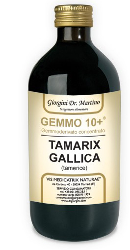GEMMO 10+ GEMMODERIVATO CONCENTRATO LIQUIDO ANALCOLICO TAMARIX GALLICA TAMERICE 500 ML - pharmaluna