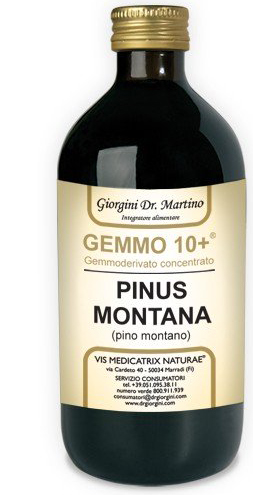GEMMO 10+ GEMMODERIVATO CONCENTRATO LIQUIDO ANALCOLICO PINUS MONTANA PINO MONTANO 500 ML - pharmaluna