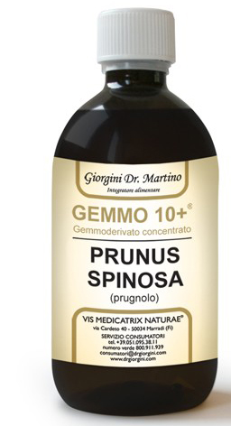 GEMMO 10+ PRUGNOLO 500 ML LIQUIDO ANALCOLICO - pharmaluna
