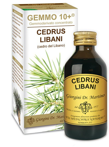 GEMMO 10+ CEDRO DEL LIBANO 100 ML LIQUIDO ANALCOLICO - pharmaluna