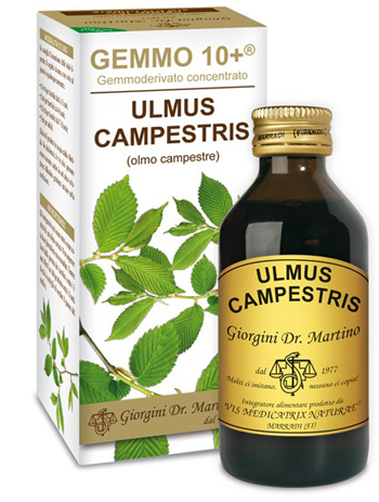 GEMMO 10+ OLMO CAMPESTRE 100 ML LIQUIDO ANALCOLICO - pharmaluna