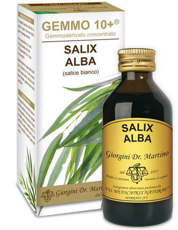 GEMMO 10+ SALICE BIANCO 100 ML LIQUIDO ANALCOLICO - pharmaluna