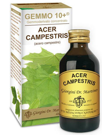 GEMMO 10+ ACERO CAMPESTRE 100 ML LIQUIDO ANALCOLICO - pharmaluna