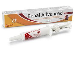 RENAL ADVANCED GATTI PASTA SIRINGA 15 ML - pharmaluna