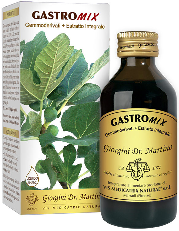 GASTROMIX LIQUIDO ANALCOLICO 100 ML - pharmaluna