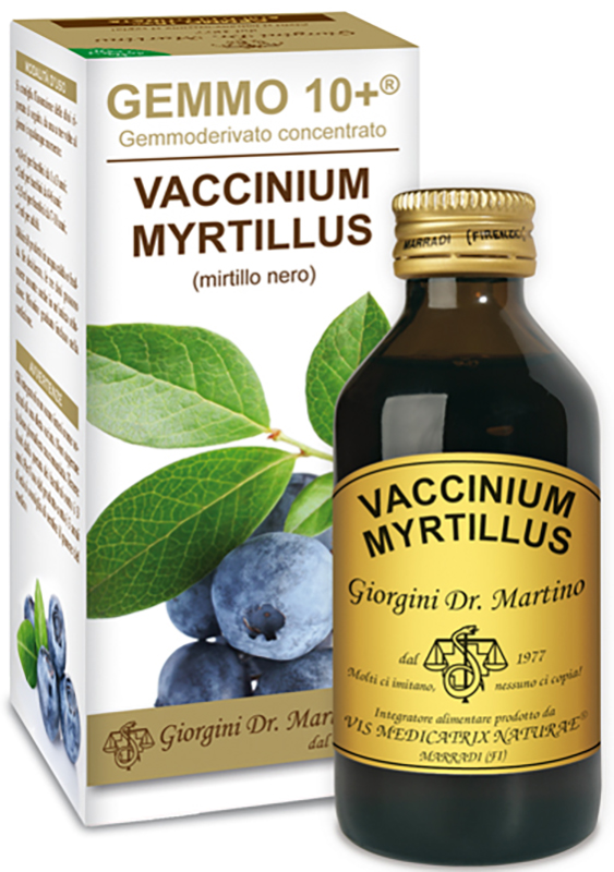 GEMMO 10+ MIRTILLO NERO LIQUIDO AN 100 ML - pharmaluna