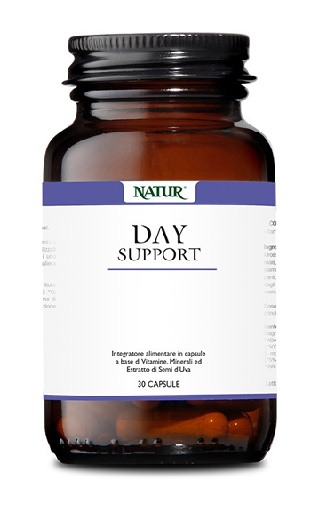 DAY SUPPORT 30 CAPSULE - pharmaluna