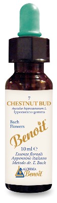 FIORI DI BACH BENOIT CHESTNUT BUD 10 ML - pharmaluna