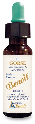 FIORI DI BACH BENOIT GORSE 10 ML - pharmaluna