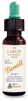 FIORI DI BACH BENOIT LARCH 10 ML - pharmaluna
