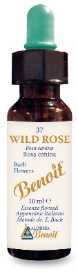 FIORI DI BACH BENOIT WILD ROSE 10 ML - pharmaluna