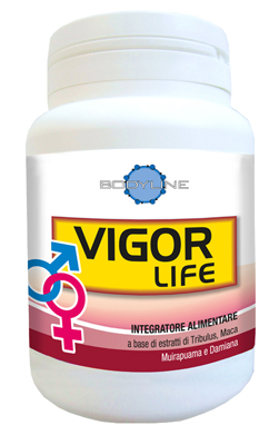 VIGOR LIFE 40 CAPSULE - pharmaluna