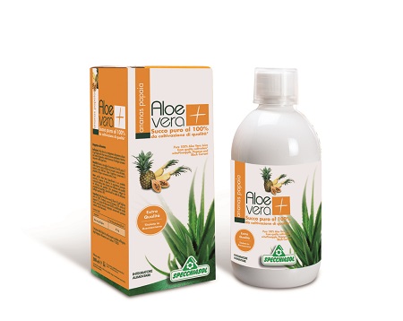 SUCCO ALOEVERA+ ANANAS/PAPAIA 1000 ML - pharmaluna