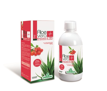 SUCCO ALOEVERA+ GOJI 1000 ML - pharmaluna