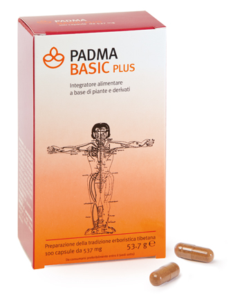 PADMA BASIC PLUS 100 CAPSULE - pharmaluna