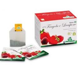 INFUSO FRAGOLA/LAMPONE 20 FILTRI - pharmaluna