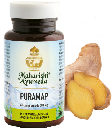 PURAMAP 60 COMPRESSE - pharmaluna