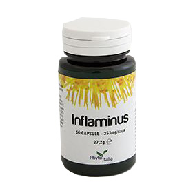 INFLAMINUS 60 CAPSULE - pharmaluna