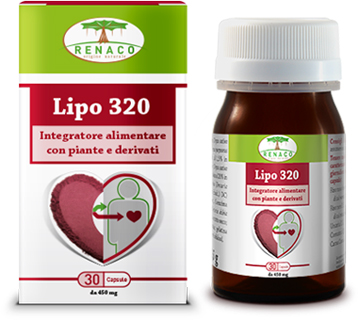 LIPO 320 30 CAPSULE - pharmaluna