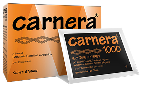 CARNERA 1000 18 BUSTINE - pharmaluna