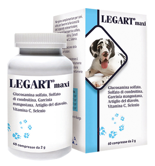 LEGART MAXI 60 COMPRESSE 2 G - pharmaluna
