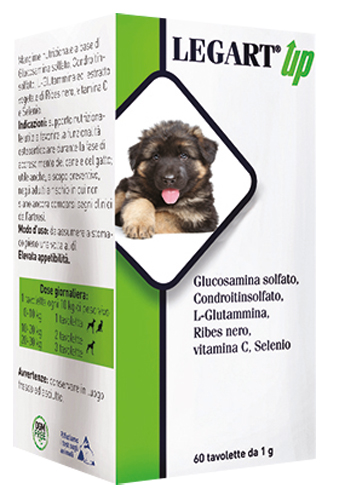 LEGART UP 60 COMPRESSE DA 1 G - pharmaluna