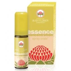 CONCENTRATION SPRAY ORALE 20 ML - pharmaluna