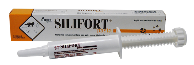 SILIFORT PASTA OS SIRINGA 15 G - pharmaluna
