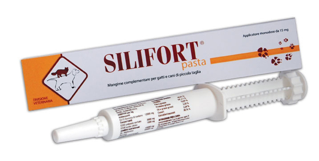 SILIFORT PASTA OS SIRINGA 30 G - pharmaluna