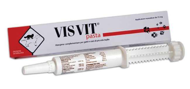 VISVIT PASTA OS SIRINGA 15 G - pharmaluna