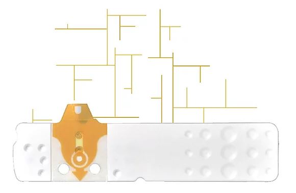 STRISCE MISURAZIONE GLICEMIA LINEA D ORO 50 PEZZI - pharmaluna