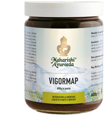 VIGORMAP PASTA 600 G - pharmaluna