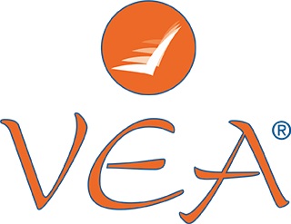 OLIO SPRAY AURICOLARE FILME OTO 20 ML - pharmaluna