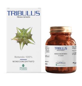 TRIBULUS 50 CAPSULE - pharmaluna