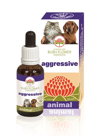 AGGRESSIVE 30 ML - pharmaluna