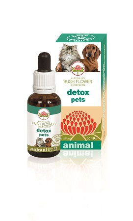 DETOX PETS 30 ML - pharmaluna
