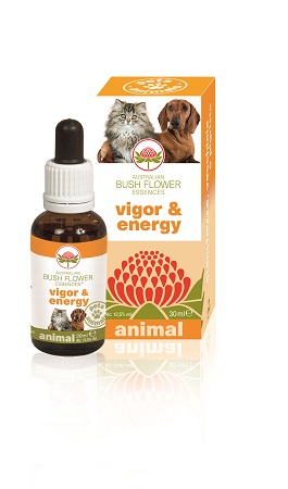 VIGOR & ENERGY 30 ML - pharmaluna