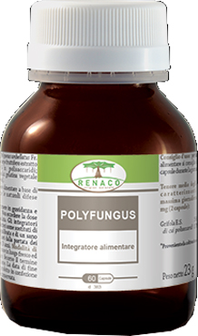 POLYFUNGUSS 60 CAPSULE 350 MG - pharmaluna