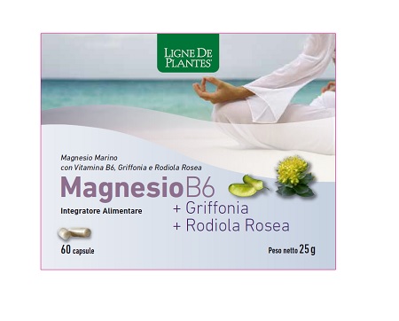 MAGNESIO B6 + GRIFFONIA + RODIOLA 60 CAPSULE - pharmaluna