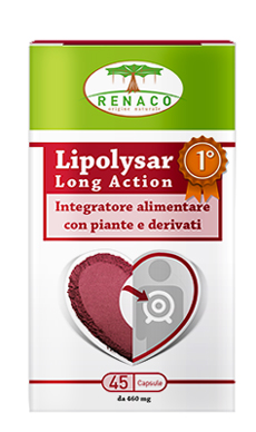 LIPOLYSAR LONG ACTION 45 CAPSULE - pharmaluna