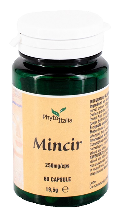 MINCEUR AYURVED 60 CAPSULE - pharmaluna